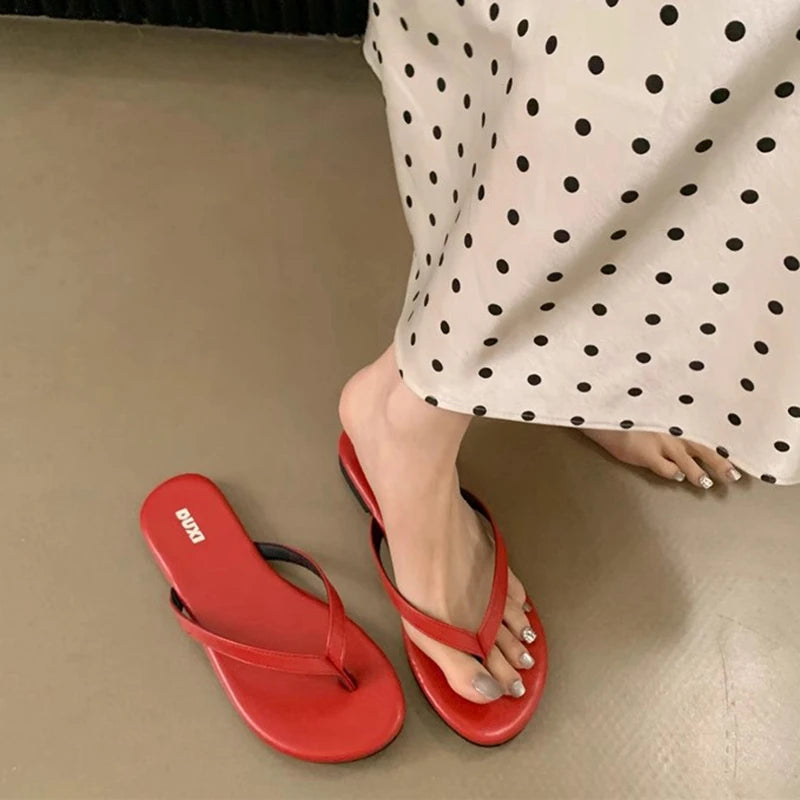 SUOJIALUN 2025 Summer New Brand Women Slipper Fashion Narrow Band Slip On Flip Flops Soft Flat Heel Outdoor Casual Dress Slides